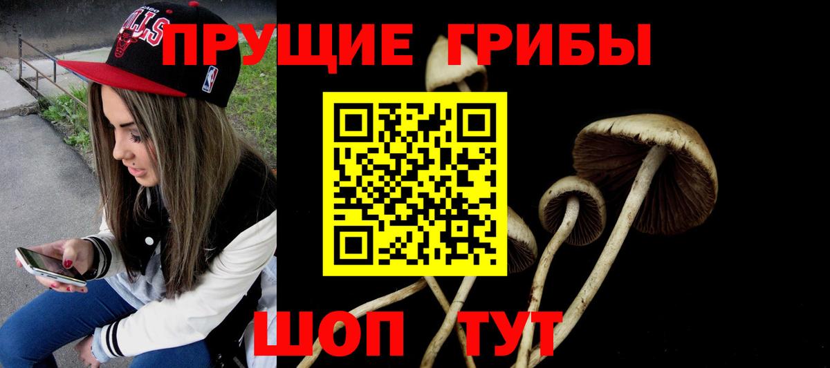 Галлюциногенные грибы мицелий Новый Уренгой