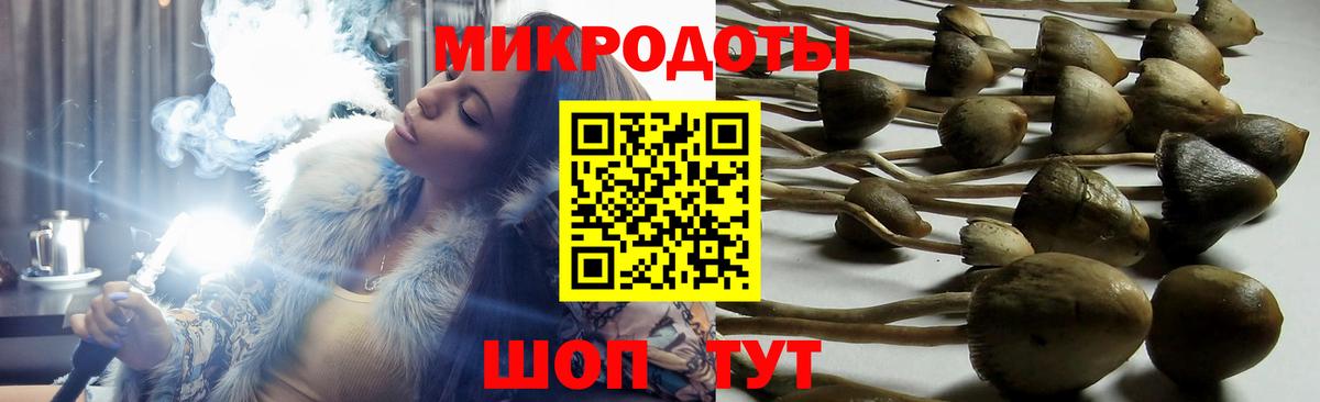 Новый Уренгой  Псилоцибиновые грибы GOLDEN TEACHER  Псилоцибиновые грибы прущие грибы  Вход с VPN 